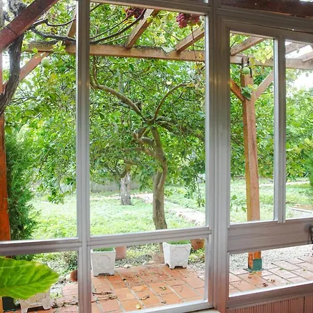 Holiday home Casa Do Avo Machado